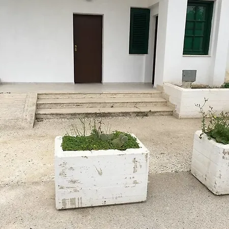 Aliga 4*